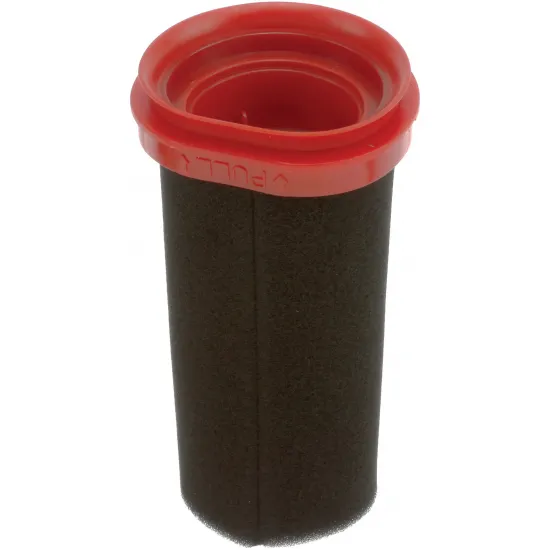 12026520 Filtre-motor koruma